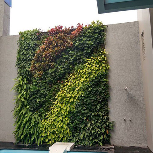 Tukang taman BSD city